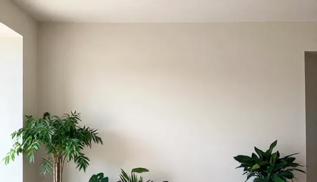 技术外包中的性能提升问题及处理方向